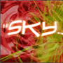sky022