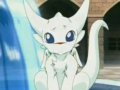 Shibi&nbsp;Tchip
