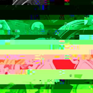 20067818.jpg-c_300_300_x-f_jpg-q_x-xxyxx.jpg
